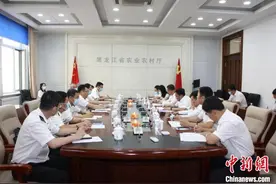 中国农业大省“牵手”海关 助力俄粮回运等外向型农业发展图片