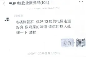 宠物猫被当成流浪猫处理，猫主人起诉物业，法院判了图片