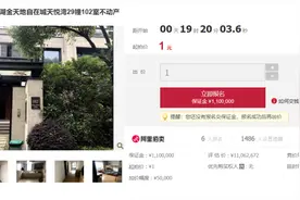 1000多万元别墅1元起拍！背后竟牵涉44亿元票据诈骗案图片