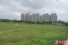 50余年老厂腾退400亩土地建生态公园：开窗见绿，出门赏花，没有呛人的味道了图片