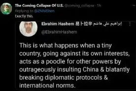 中国驻立陶宛大使发推说“再见”，这条网友评论点赞量最高图片