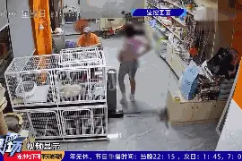 拳头硬了！小女孩用推门虐猫致死！网友怒了，店长发声…图片