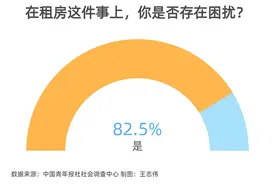 舒适性、私密性……年轻人的租房痛点都在哪儿图片