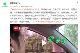 突如其来！游客跟羊驼打招呼反被喷口水图片