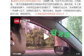 突如其来！游客跟羊驼打招呼反被喷口水图片