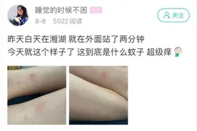 两分钟就中招！萧山姑娘欲哭无泪：奇痒无比图片
