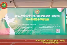足球少年怀赤子之心 绿茵赛场立青云之志图片