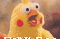 男子骑电车上高架，21分钟狂飙27公里！拘15日罚1500元图片