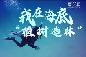 拯救珊瑚！我在海底“植树造林”视频封面