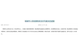 涉嫌徇私枉法、玩忽职守罪！桐城市公安局一干部被逮捕图片