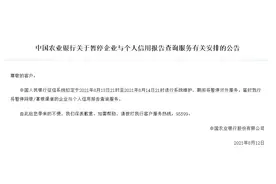 农行：因系统维护，将暂停部分渠道企业与个人信用报告查询服务图片