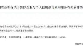 农行：因系统维护，将暂停部分渠道企业与个人信用报告查询服务图片