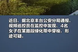 七夕临近 近200米绿化带被薅光！4名女子偷月季当玫瑰卖被刑拘图片