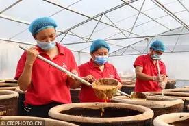 河北广平：传统豆瓣酱 初秋溢醇香图片