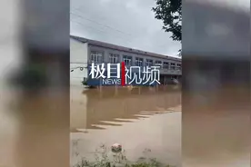 昂贵兰花面临没顶之灾，种植户乐观表示：只要人没事就行！视频封面