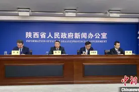陕西明确“三大球”为学校体育重点项目 探体教融合发展之路图片
