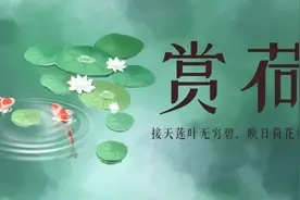 抓住夏天的尾巴，一起去赏荷吧图片