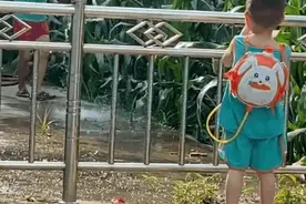 务农回来，爷爷给孙女带了一把野果，网友：看到颤抖的双手鼻子酸了图片