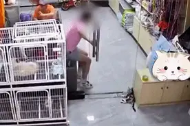 东莞一女孩宠物店推门夹死小猫，社区发布情况说明图片