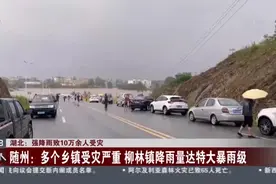 湖北：强降雨致10万余人受灾---随州：多个乡镇受灾严重 柳林镇降雨量达特大暴雨级视频封面
