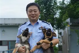 “警犬学校”开学，小萌狗报到图片
