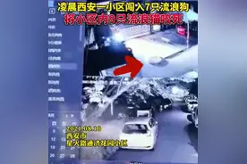 西安一小区闯入7只流浪狗咬死9只流浪猫 民警出手了图片