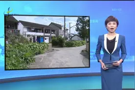 嘉定新城（马陆镇）樊家村：村里大小事都得“樊事灵”视频封面