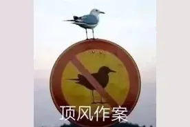 “烫个头回来连物种都变了？”哈哈哈哈托尼老师和你有仇吗图片