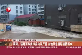 湖北：强降雨致10万余人受灾  襄阳：强降雨致南漳县内涝严重  当地紧急转移被困群众视频封面