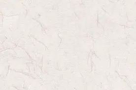 「百个瞬间说百年」1974，“三个世界”划分战略思想图片