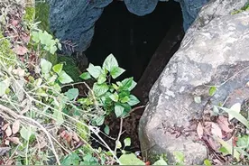 民族时报丨特别关注·云南少数民族的生态智慧之二丨壮族“森林—水源—‘那’—水稻—人类—森林”守恒法则图片