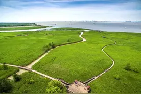 崇明这个旅游强镇你去过了吗图片