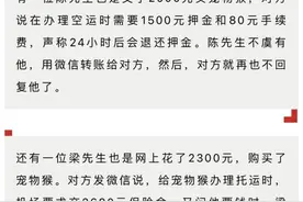 网购猴子2000元包邮？女子下单后，结果很意外图片