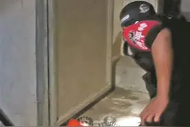 两条毒蛇闯进民宅 民警深夜抓捕放生图片