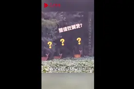 狍子偷吃黄豆被发现扭头看村民，谁喊我？图片