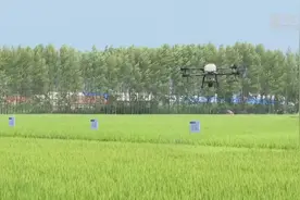 黑龙江：无人机植保作业 给农业插上科技的翅膀视频封面