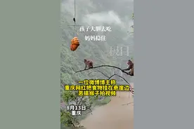 重庆一景区悬崖挂食物恶搞野猴？官方回应：正常投喂，拍摄角度造成误会图片