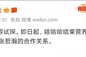 张哲瀚代言品牌均宣布终止合作图片