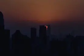 七夕不拉货，就拉狗粮！图片