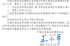 中国足协新罚单：张呈栋停赛5场 王鹏停赛2场图片