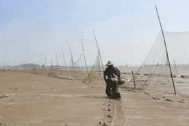 意外！3人赶海抓螃蟹，不料反被海困住了......图片