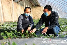 辽宁：智力援疆 留下“带不走的队伍”图片
