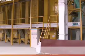 喜看稻田千层浪 四川宜宾兴文县水稻“开镰”收割迎丰收视频封面