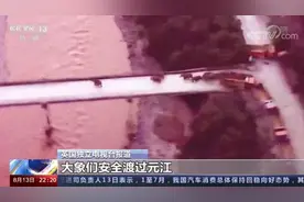 “出游”象群圈粉无数！除了你我，还有一群外国粉丝图片