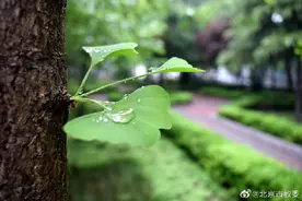 熬过最艰难的日子，成就最好的自己，生活不是选择，而是热爱图片