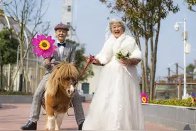这是爱情最美好的样子图片