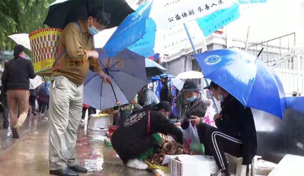 2021鏉捐尭灏濋矞瀛ｅ€掕鏃讹紝浠婂勾浣犲悆鏉捐尭浜嗗悧