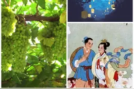 七夕民俗中重要的植物担当丨花花万物图片