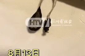 杭州女子家里长出暗黑系蘑菇！比黄梅天还潮，“倒黄梅”来了图片