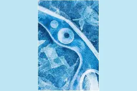 影像｜拍好生态摄影很难？以下5个思路不妨一试图片